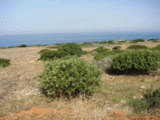 Seafront land for sale in Crete (Greece)