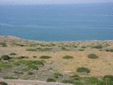 To buy beach land in Greece (Crete)
